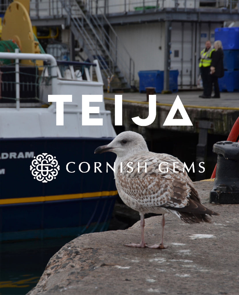 Stories from the Sea - TEIJA x Cornish Gems
